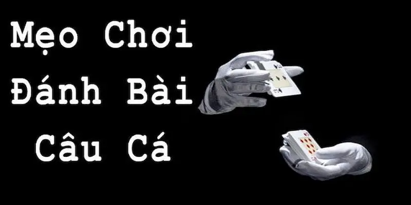 bai cau ca 3 1 Cập nhật các mẹo để chơi thắng bài câu cá